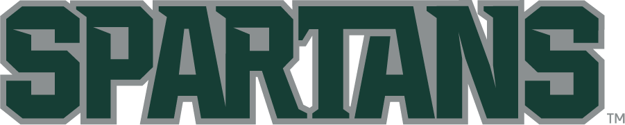 Michigan State Spartans 2010-Pres Wordmark Logo v2 diy iron on heat transfer